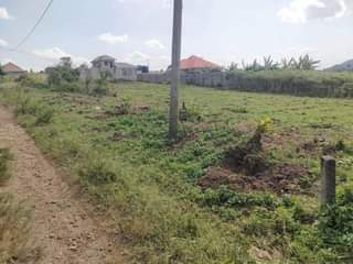 Mutebi A.