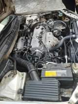 A picture of Xmas Bonanza Xmas Bononza Direct Link 4rm Owner 2001 2002