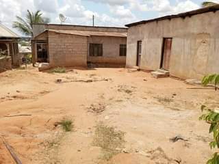 A picture of PANAUZWA PRICE MILION 8 5