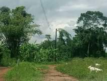A picture of Matugga kiweebwa plot with a title at only 7 5