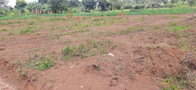 A picture of AFFORDABLE PLOTS FOR SALE IN GOBERO