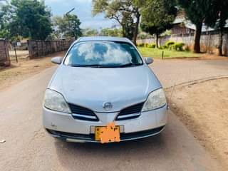 nissan primera