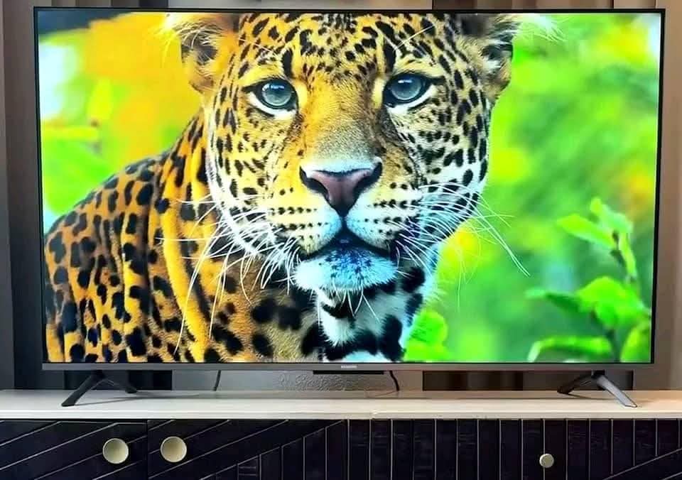 A picture of Hisense smart TV still new with free to Channels no