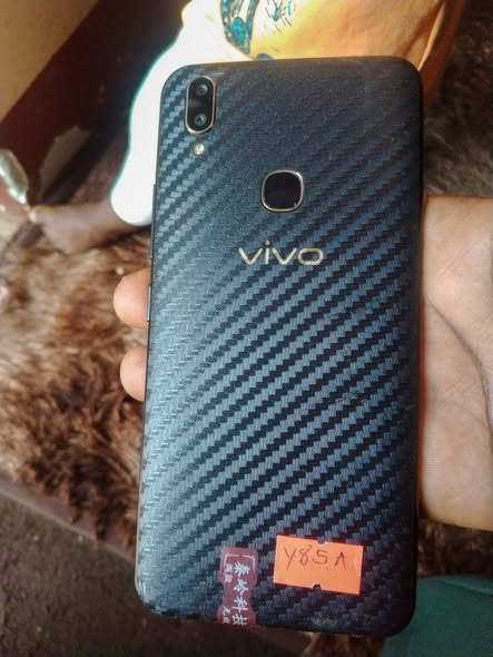 A picture of VIVO