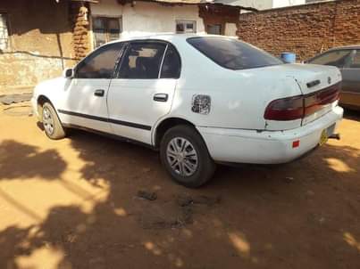 CAR M.