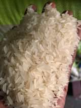 A picture of Tz super rice kawoowo