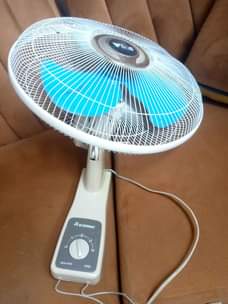 A picture of Feni ya ukutan
