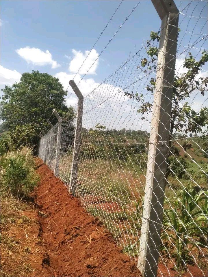 fencing