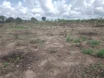 A picture of VINAUZWA LAKI 500 000 TU