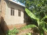 A picture of House
