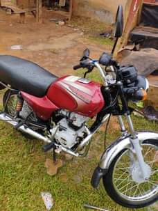 A picture of 2022 India Bajaj Boxer
