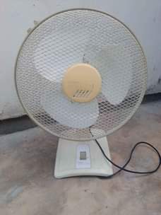 A picture of Feni
