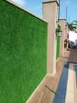 A picture of Grass carpet