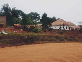 A picture of Land