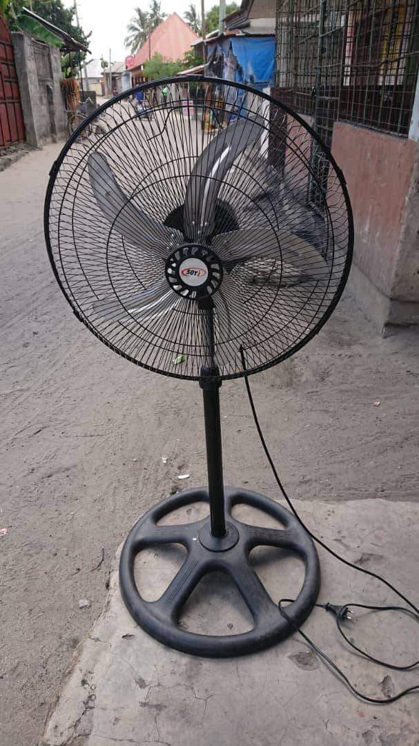A picture of feni