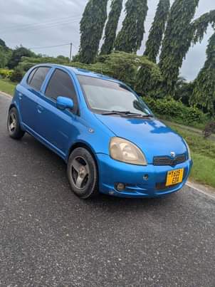 A picture of Vitz old