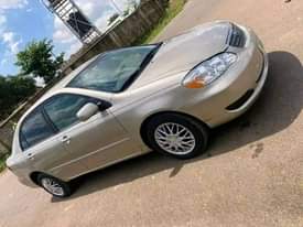 A picture of Corolla 04