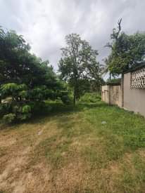 A picture of Kiwanja Kinauzwa Tabata Segerea