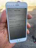 A picture of iPhone 6