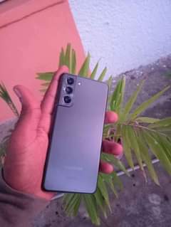 Stulla S.