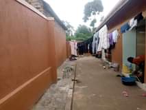 A picture of 5 single units for sale at 50m ush at Nansana