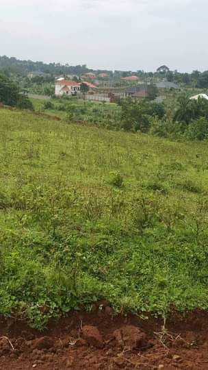 A picture of 3acres of land in Nakwero owaWavaamuno 280million