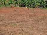 A picture of MATUGGA KAVULE NEW CITY SITE. AFFORDABLE PLOTS WITH A TITLE