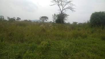 A picture of 15 acres of private milo land for sale in Namutamba