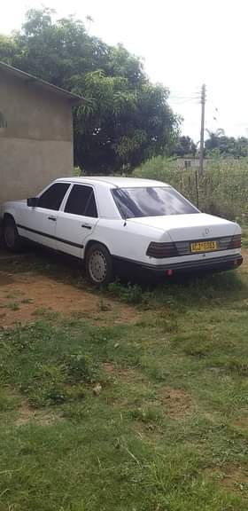 classifieds/cars mercedes