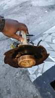 A picture of Nyengo or grass cutter