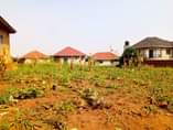 A picture of Busubuzi deal 50ft 100ft agreement plot on sale located at