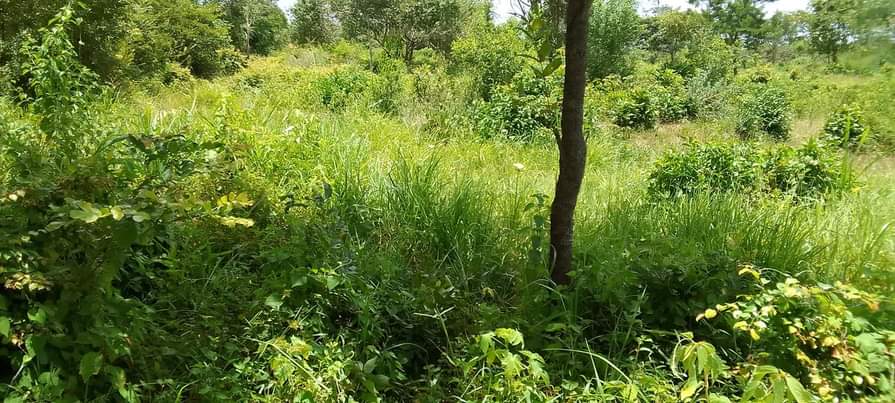 A picture of ZIMEBAKI HEKA 15 SHAMBA LIPO MZENGA WILAYA YA KISARAWE MKOA