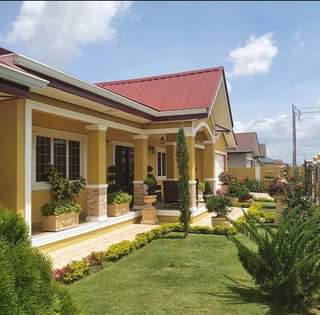 Trinidad R.