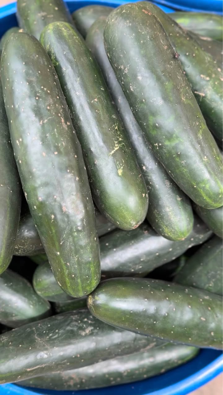 A picture of Veggies