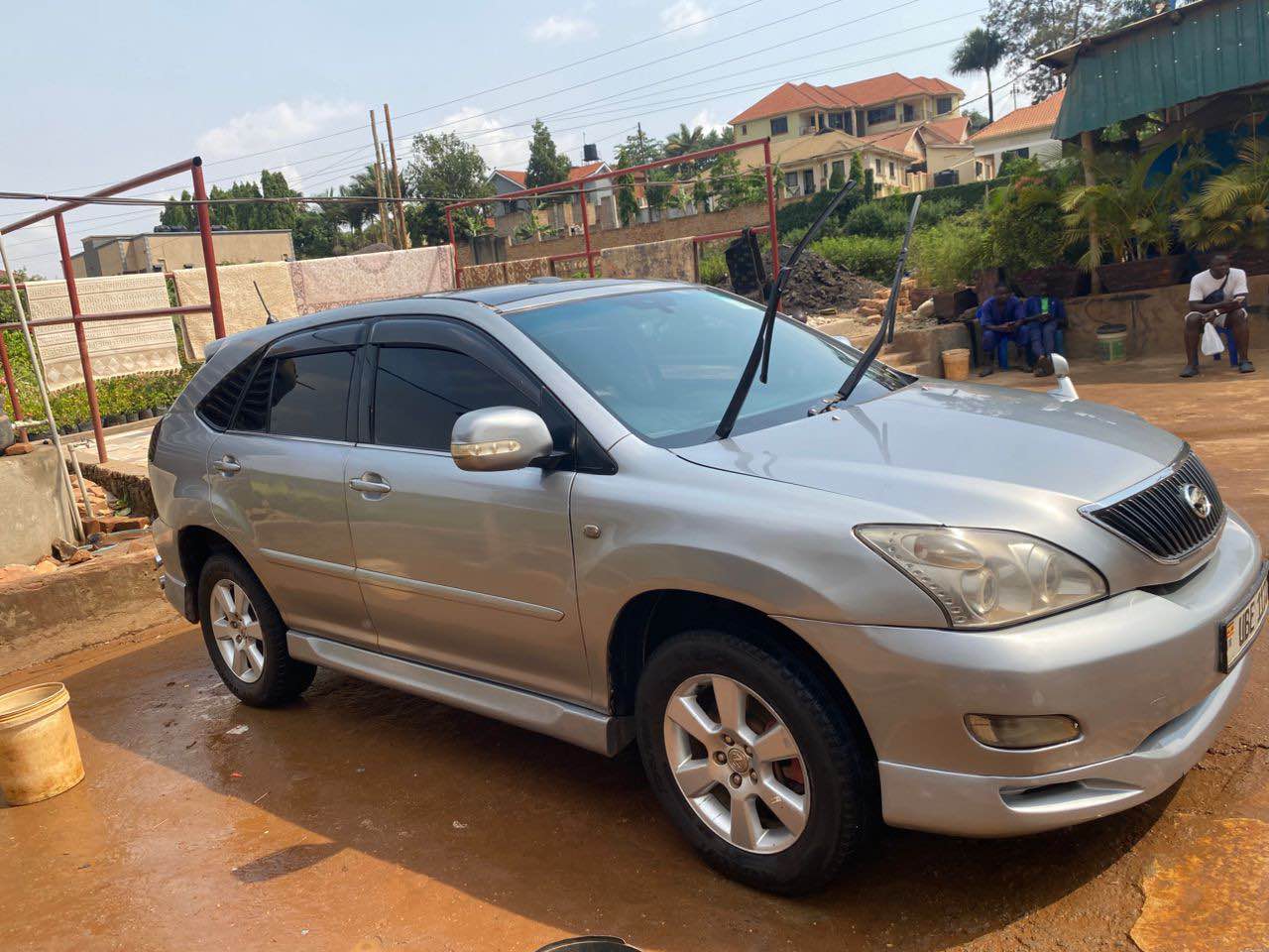 A picture of Harrier kawundo