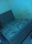A picture of Chagua nikupe bei