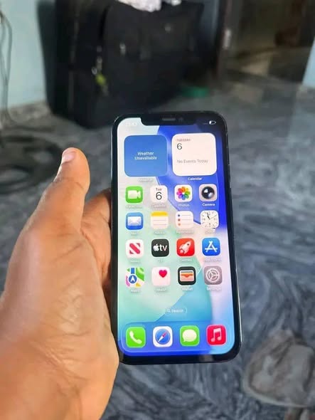 A picture of iPhone 12 pro max