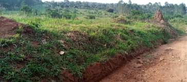 A picture of 3 fertile acres on sale all at 115m on main