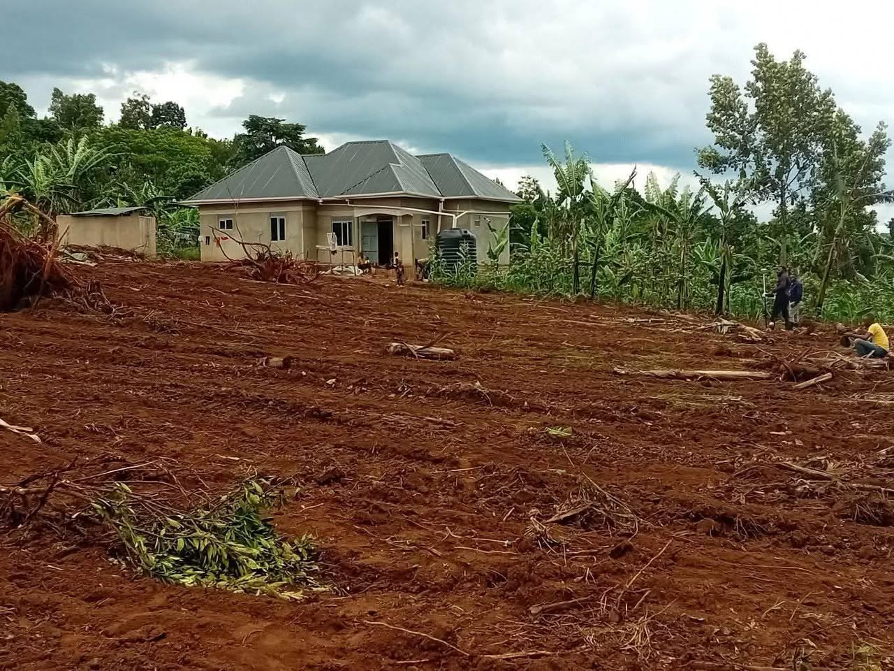 A picture of Plots