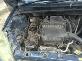 A picture of Nauza Vitz