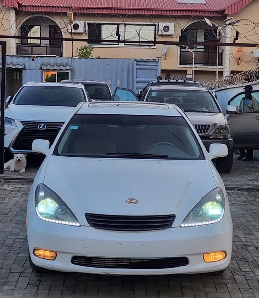 A picture of Lexus ES300