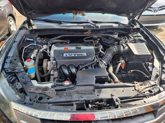 A picture of 2011 Honda crosstour