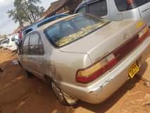 A picture of Corona 100 kikumi