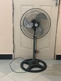 A picture of Feni