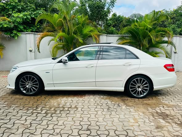 A picture of Mercedes