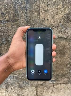A picture of iPhone 11 plain