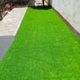 grass