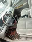 A picture of Camry BigDaddy