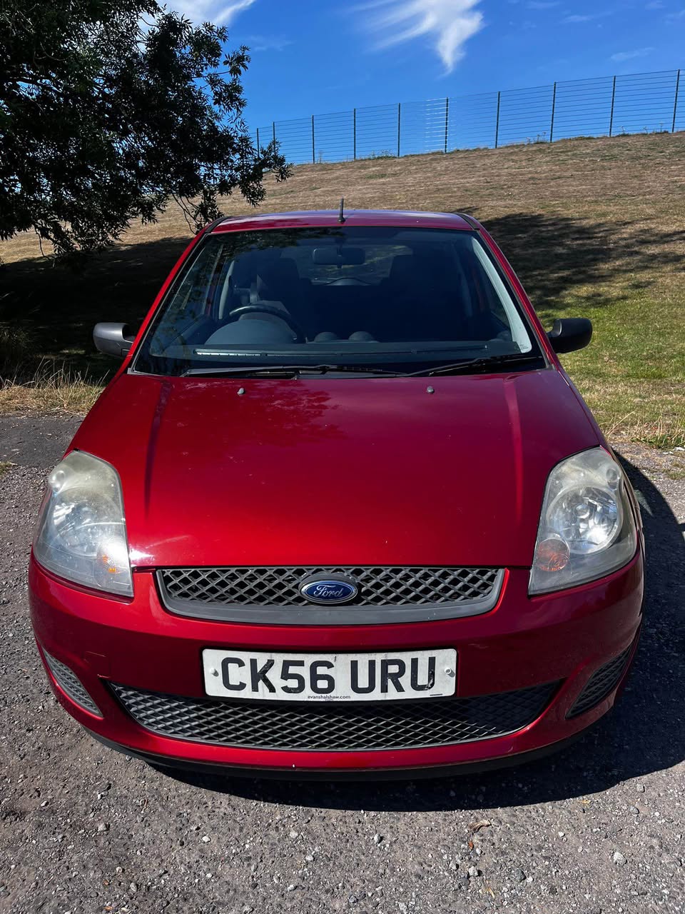 cars