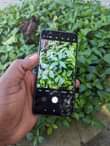 A picture of Redmi note 10 pro max
